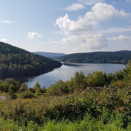 Gemuetliche Ferienwohnung Im Schoenen Erzgebirge - Wohnung Fruehling Eibenstock Luaran gambar