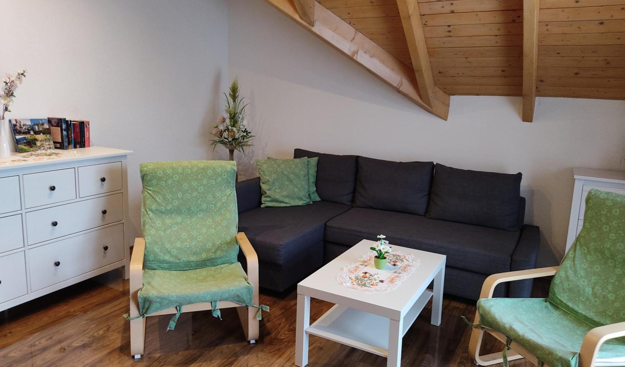 Gemuetliche Ferienwohnung Im Schoenen Erzgebirge - Wohnung Fruehling Eibenstock Luaran gambar